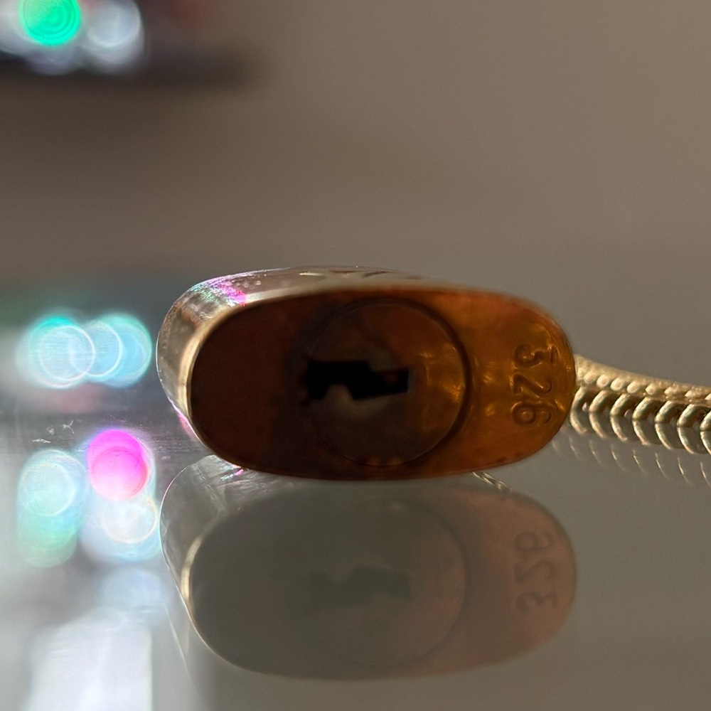 Louis Vuitton Vintage Brass Padlock (#326) 🌟 - Picture 7 of 7